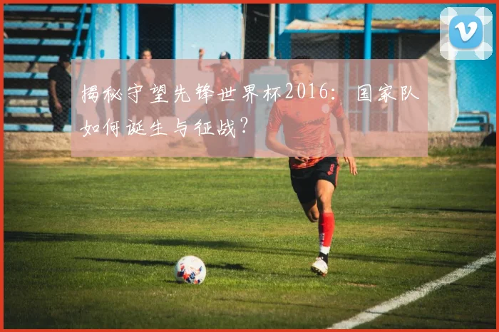 揭秘守望先锋世界杯2016：国家队如何诞生与征战？